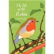 The Life of the Robin Voted Britain's National Bird