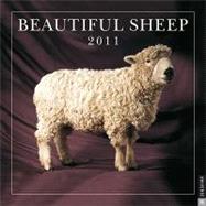 Beautiful Sheep; 2011 Wall Calendar