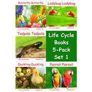 Life Cycle Books Set