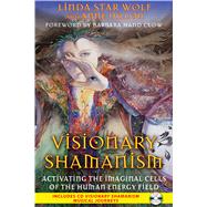 Visionary Shamanism