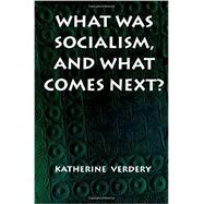 What Was Socialism, and What Comes Next?