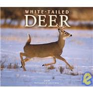 White-tailed Deer 2008 Calendar