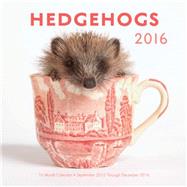 Hedgehogs 2016 Mini 16-Month Calendar September 2015 through December 2016