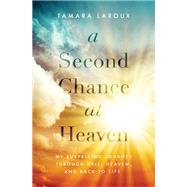 A Second Chance at Heaven