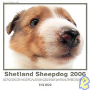 The Dog Shetland Sheepdog