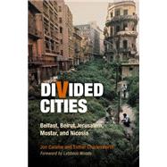 Divided Cities