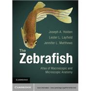 The Zebrafish
