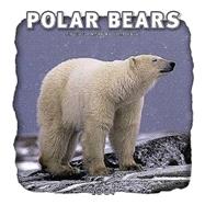 Polar Bears 2004 Calendar