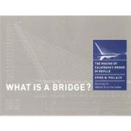 What Is a Bridge? : The Making of Calatrava's Bridge in Seville