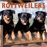 Rottweilers 2003 Calendar