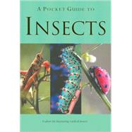 A Pocket Guide to Insects