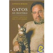 Gatos sin fronteras/ Cats without Borders: Andanzas Y Fortunas De Remo, Un Gato Callejero/ Adventures and Fortune of Remo, A Street Cat