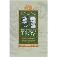 Finding the Walls of Troy