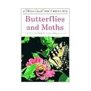 Butterflies and Moths