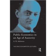 Public Economics in an Age of Austerity