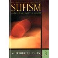 Key Concepts in the Practice of Sufism