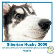 The Dog: Siberian Husky