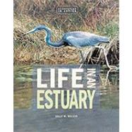 Life in an Estuary: The Chesapeake Bay