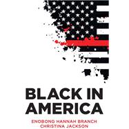 Black in America The Paradox of the Color Line