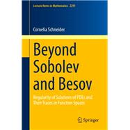 Beyond Sobolev and Besov