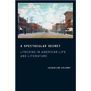 A Spectacular Secret: Lynching in American Life And Literature