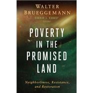 Poverty in the Promised Land: Neighborliness, Resistance, and Restoration book cover, ISBN 9798889831389