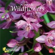 Wildflowers 2011 Calendar