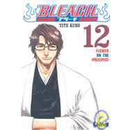 Bleach 12