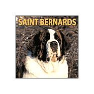 Saint Bernards 2003 Calendar