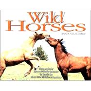 Wild Horses 2007 Calendar