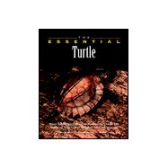 The Essential Turtle