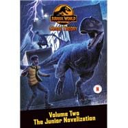 Chaos Theory, Volume Two: The Junior Novelization