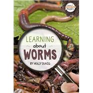 Learning about Worms