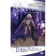 La Légende de Drizzt, T1 : Terre natale