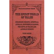 The Spirit World of Wales - Including Ghosts, Spectral Animals, Household Fairies, the Devil in Wales and Angelic Spirits (Folklore History Series)
