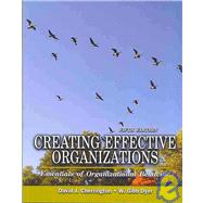 Creating Effective Organizations: Essentials Of Organizational Behavior Human Resource Management And Strategy