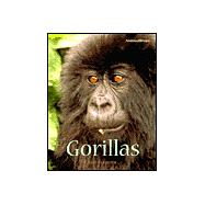 Gorillas