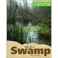 Life In A Swamp