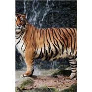 Mindblowing Cute Big Cats Journal