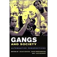 Gangs and Society