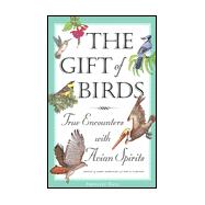 The Gift of Birds True Encounters with Avian Spirits