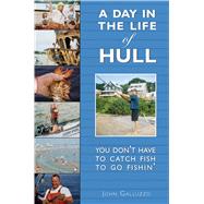 A Day in the Life of Hull