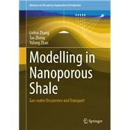 Modelling in Nanoporous Shale