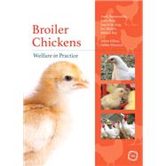 Broiler Chickens