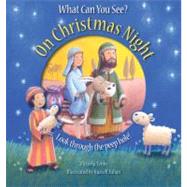 What Can You See? on Christmas Night