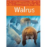 Animals Illustrated: Walrus (English)
