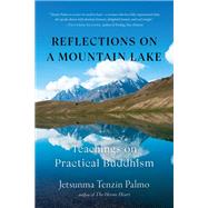 Reflections on a Mountain Lake Teachings on Practical Buddhism