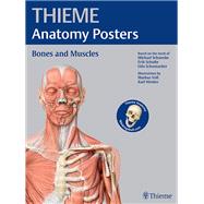 Thieme Anatomy Posters: Bones and Muscles: Latin Nomeclature
