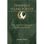 Training a Young Pointer How the Experts Developed My Bird Dog and Me