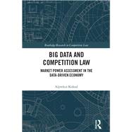 Big Data and Competition Law